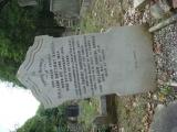 image number Hodgeson H 06776